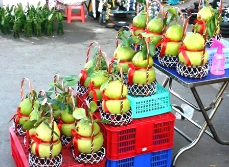 TPHCM: Mai dán tường, bưởi hồ lô... tràn phố ảnh 4