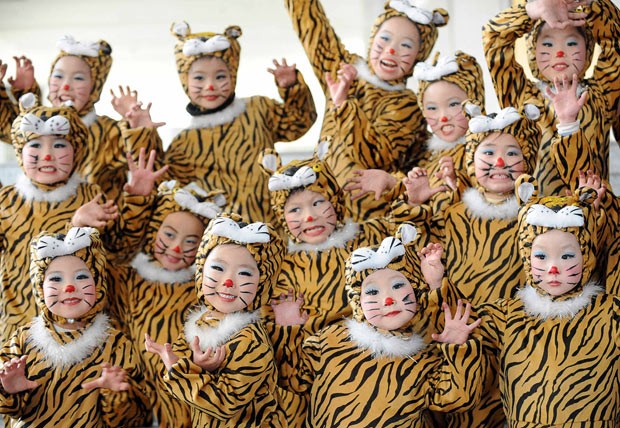 Children wear tiger make-up and costumes during a performance to celebrate the upcoming Chinese New Year in Bozhou, Anhui province, China. The year of the tiger begins on 14 February