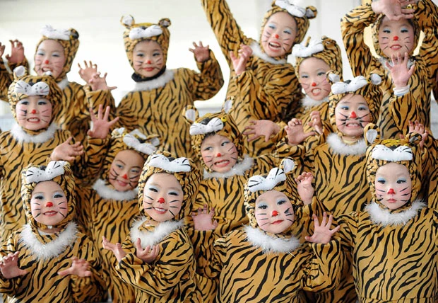 Children wear tiger make-up and costumes during a performance to celebrate the upcoming Chinese New Year in Bozhou, Anhui province, China. The year of the tiger begins on 14 February