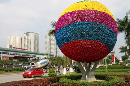 Quả cầu hoa. Quả cầu hoa.