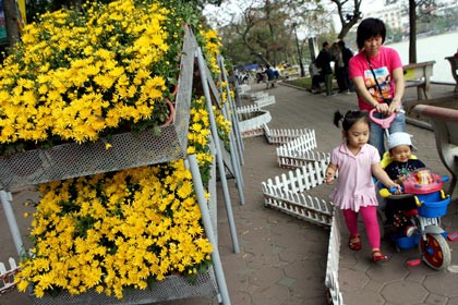 Dạo chơi bên đường hoa ven hồ Hoàn Kiếm. Dạo chơi bên đường hoa ven hồ Hoàn Kiếm.