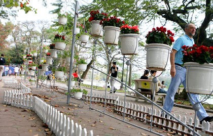 Các góc phố Hà Nội rực rỡ sắc hoa với các kiểu trang hoàng lạ mắt, độc đáo. Các góc phố Hà Nội rực rỡ sắc hoa với các kiểu trang hoàng lạ mắt, độc đáo.
