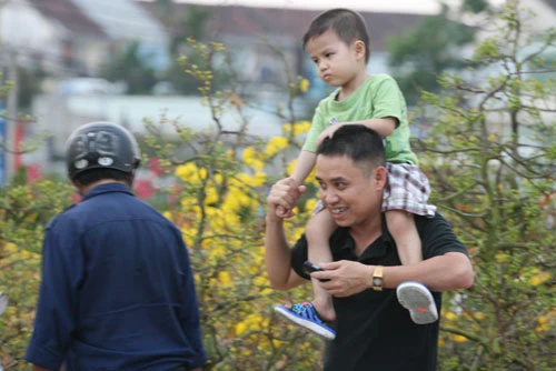 Vào chợ hoa vàng ảnh 3