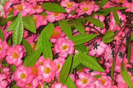 Những bông mai đỏ như hoa thật.