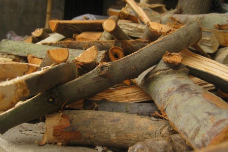 Những mẩu gỗ được dùng làm giò phong lan giả. Những mẩu gỗ được dùng làm giò phong lan giả.