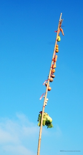 Sắc xuân trên chợ nổi Cái Răng ảnh 9