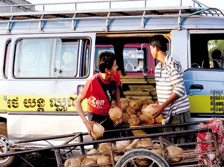 Tết trên đất khách ảnh 1