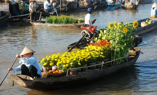 Sắc xuân trên chợ nổi Cái Răng ảnh 12
