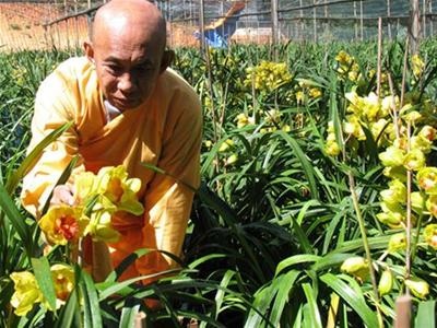 Nhà sư Thích Huệ Đăng chăm sóc lan - Ảnh: Kim Anh