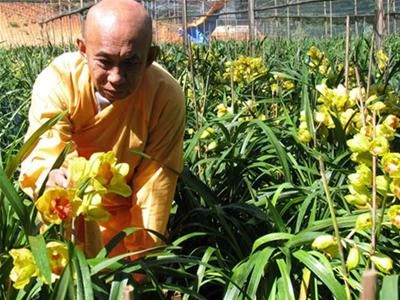 Nhà sư Thích Huệ Đăng chăm sóc lan - Ảnh: Kim Anh