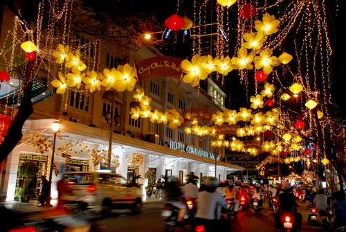 Mai vàng trước khách sạn Continental trang hoàng lộng lẫy
