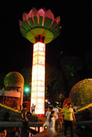 Sen nở trên cao ở hồ Con Rùa