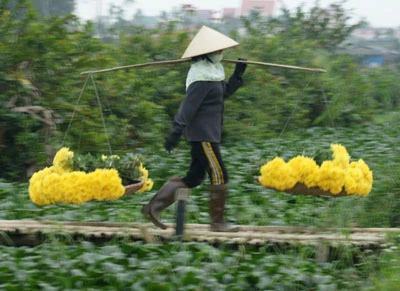 Nhọc lắm làng hoa! ảnh 11