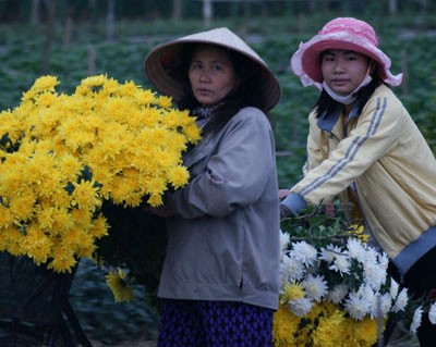 Nhọc lắm làng hoa! ảnh 7 Nhọc lắm làng hoa! ảnh 7
