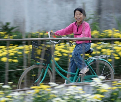 Nhọc lắm làng hoa! ảnh 9