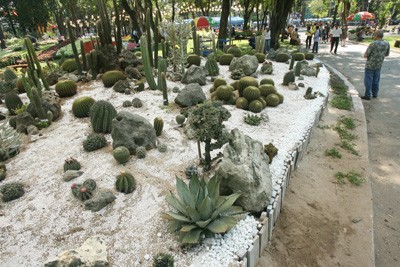 Hội Hoa Xuân lớn nhất ảnh 9 Hội Hoa Xuân lớn nhất ảnh 9