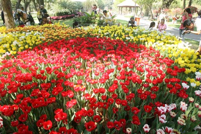 Hội Hoa Xuân lớn nhất ảnh 1 Hội Hoa Xuân lớn nhất ảnh 1