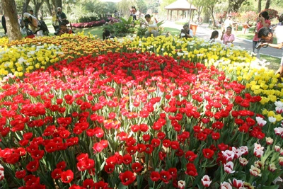 Hội Hoa Xuân lớn nhất ảnh 1