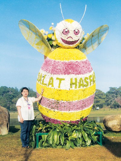 Sức quyến rũ của hoa đất ảnh 2