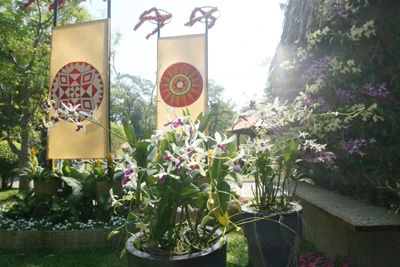 Hội Hoa Xuân lớn nhất ảnh 14