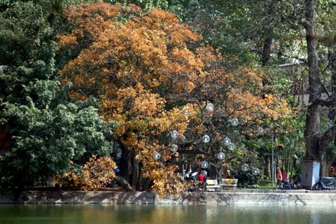 Bên kia hồ, sau khóm cây hẳn là một thế giới thần tiên?