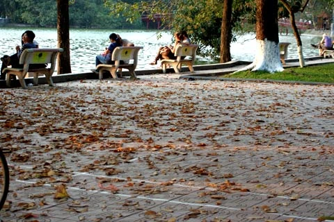 Để lá khô vẫn xào xạc...