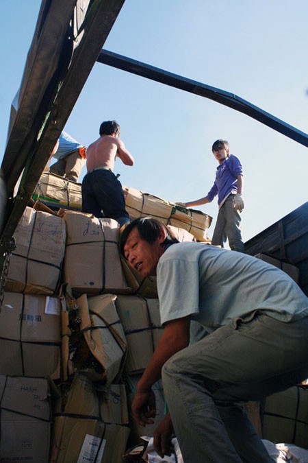 Đà Lạt: Sôi động thị trường hoa Tết ảnh 11 Đà Lạt: Sôi động thị trường hoa Tết ảnh 11