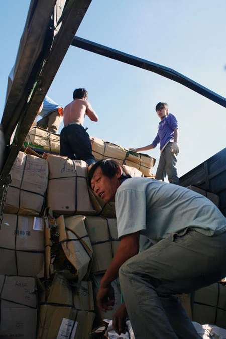 Đà Lạt: Sôi động thị trường hoa Tết ảnh 11