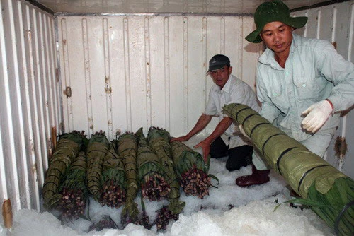 Đà Lạt: Sôi động thị trường hoa Tết ảnh 13