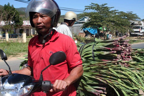 Đà Lạt: Sôi động thị trường hoa Tết ảnh 10
