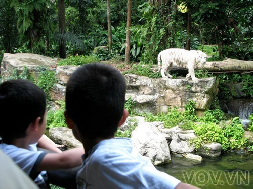 Khoảng cách giữa khách thăm và hồ là một khe nước lớn