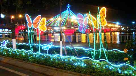 Đàn bướm bên sông Hàn