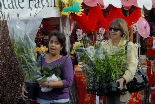 Trái cây xứ nhiệt đới được bày bán đầy chợ, giá đắt gấp 5-6 lần ở Việt Nam Người nước ngoài mua lan 12 USD/một vò lan được nhiều người mua vì mai Việt Nam chánh gốc được trồng ở Mỹ giá cao gấp 5 lần ở Việt Nam.