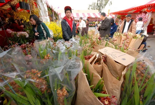 Trái cây xứ nhiệt đới được bày bán đầy chợ, giá đắt gấp 5-6 lần ở Việt Nam Người nước ngoài mua lan 12 USD/một vò lan được nhiều người mua vì mai Việt Nam chánh gốc được trồng ở Mỹ giá cao gấp 5 lần ở Việt Nam.