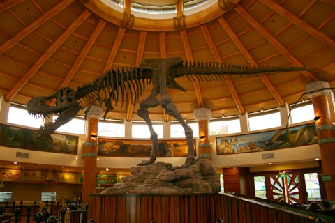 Mô hình bộ xương hóa thạch khủng long được trưng bày trong công viên.