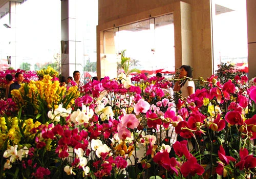 Chợ hoa lớn nhất thủ đô ngày giáp Tết ảnh 1