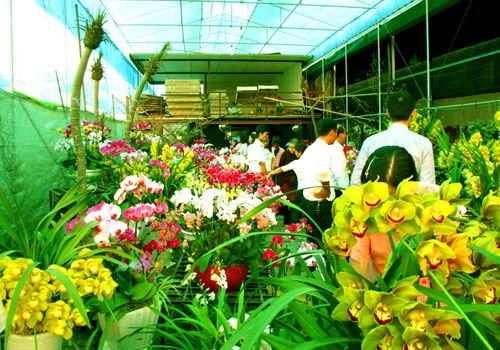 Chợ hoa lớn nhất thủ đô ngày giáp Tết ảnh 2