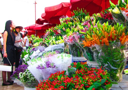 Trăm hoa đua nở. Một chậu địa lan như thế này được niêm yết giá 11 triệu đồng. Còn chậu địa lan này có giá 17,4 triệu đồng. Trăm hoa đua nở. Một chậu địa lan như thế này được niêm yết giá 11 triệu đồng. Còn chậu địa lan này có giá 17,4 triệu đồng.