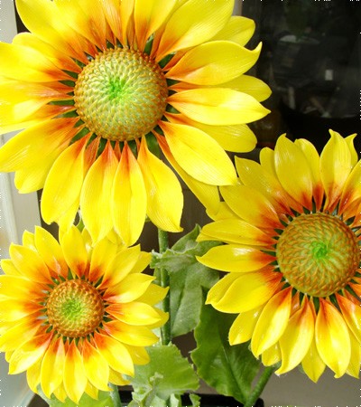 Những bông hoa từ đất ảnh 2