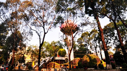 saigonxuan_2.bmp