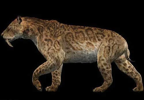 Tổ tiên 'ông ba mươi' ảnh 2