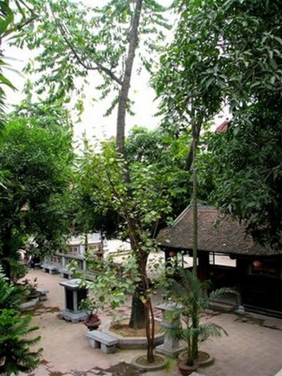 Một góc sân chùa nhìn từ trên gác hai Một góc sân chùa nhìn từ trên gác hai
