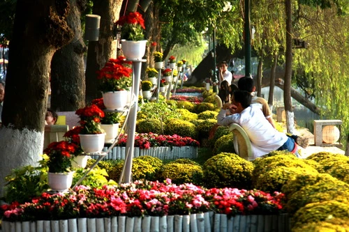 Quảng trường Lý Thái Tổ được trang hoàng rực rỡ chờ đón đêm giao thừa Hoa bên hồ Trong nắng xuân Thong thả bên hồ Cùng sáng tác