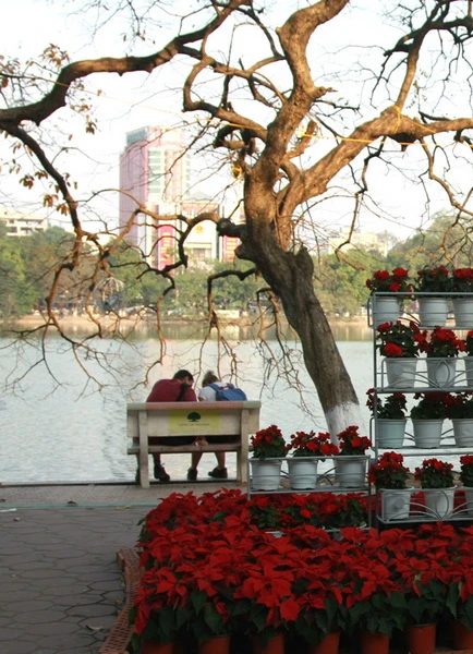 Và một góc rất yên bình như mọi ngày...