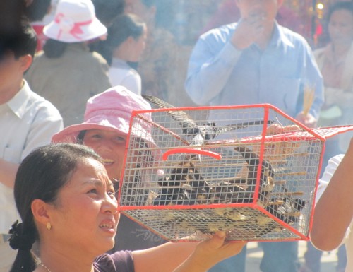 Phóng sinh. Ảnh: Anh thoa Phóng sinh. Ảnh: Anh thoa