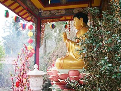 Chùa Quang Tự nằm trên một đồi thông cổ thụ, là ngôi chùa lớn nhất của cộng đồng người Việt tại bang Washington. Cờ, đèn, hoa được trang trí khắp nơi. Ngôi chùa được trang trí rực rỡ đón mừng năm mới. Nhiều người Việt ở Washington đến chùa dịp Tết Nguyên tiêu, cùng xem múa lân và các trò chơi truyền thống. Chùa được xây dựng men theo đồi thông, du khách vãn cảnh như lạc vào một không gian tĩnh lặng của thế giới Phật. Chùa có hàng trăm tượng phật bằng đá cẩm thạch được tạo tác tinh xảo theo phong cách tượng Phật của người Việt.