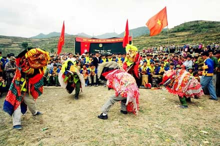 chuahoi-6.jpg