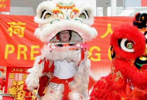 A Dutch youngster performs lion dance during a celebration for the Chinese Spring Festival, or lunar New Year, in the Hague of the Netherlands
