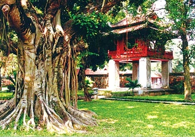 Văn Miếu - Quốc Tử Giám dựng năm 1070 với cây đa ngàn năm lịch sử.