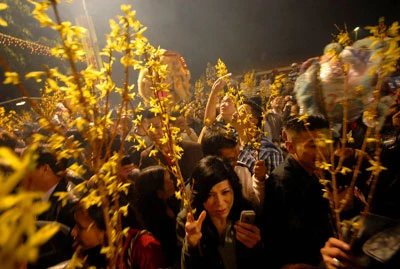 Đón giao thừa ở Nam California ảnh 2